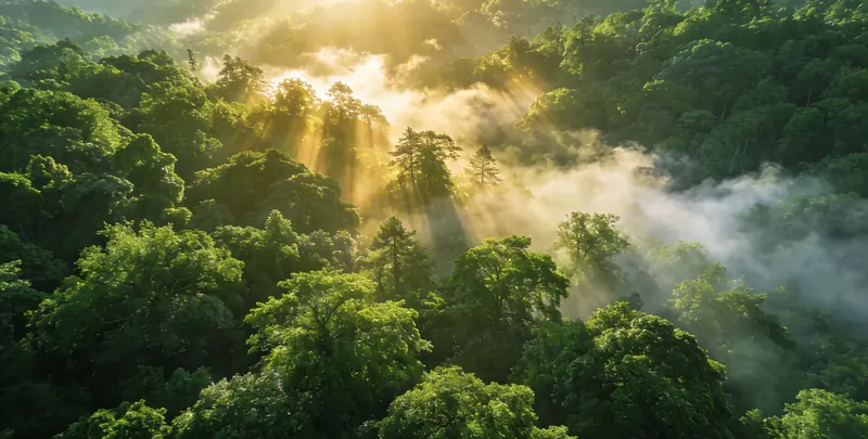 大兴安岭肺癌172基因检测图片1