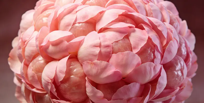 大兴安岭BRCA1/2乳腺癌卵巢癌基因检测图片1